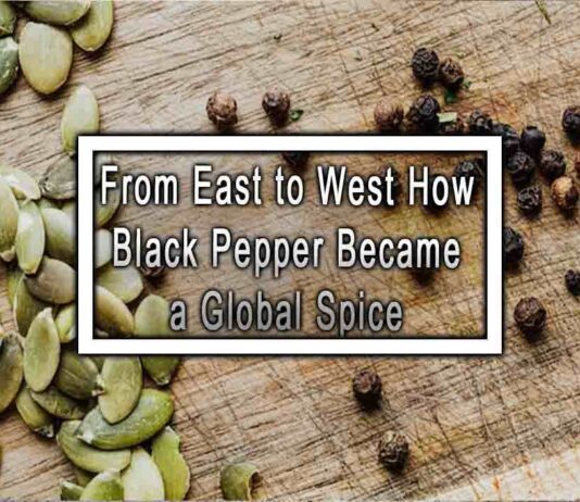 From East to West How Black Pepper Became a Global Spice
