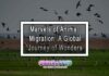 Marvels of Animal Migration: A Global Journey of Wonders