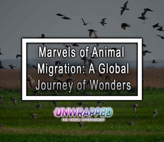 Marvels of Animal Migration: A Global Journey of Wonders