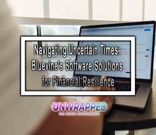 Navigating Uncertain Times: Bluevine's Software Solutions for Financial Resilience