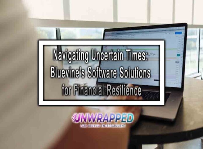 Navigating Uncertain Times: Bluevine's Software Solutions for Financial Resilience