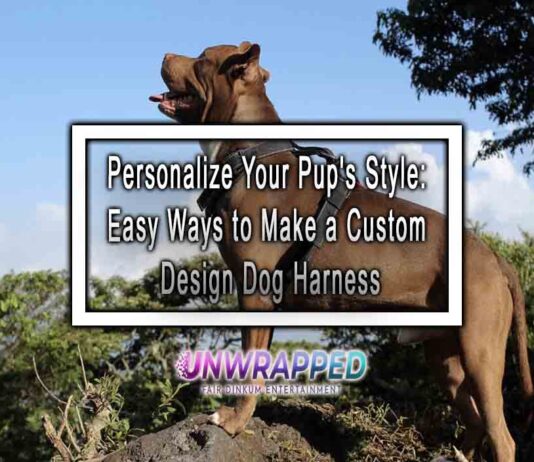 Personalize Your Pup's Style: Easy Ways to Make a Custom Design Dog Harness