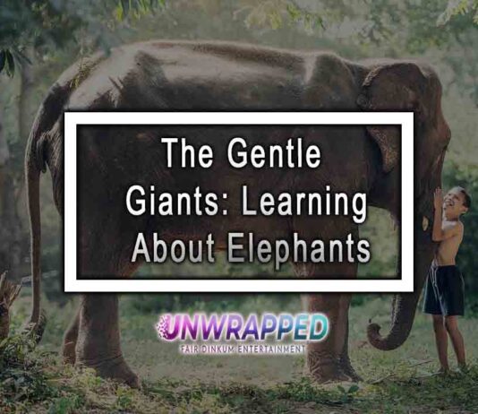 The Gentle Giants: Learning About Elephants