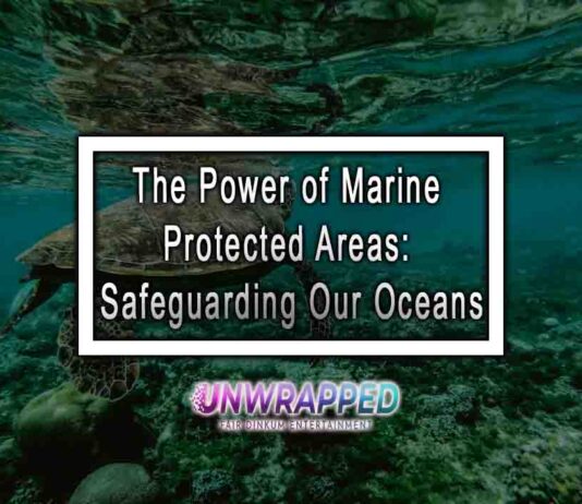 The Power of Marine Protected Areas: Safeguarding Our Oceans