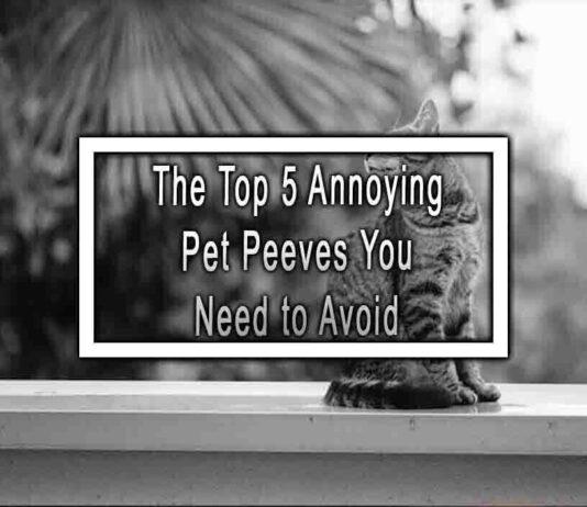 The Top 5 Annoying Pet Peeves You Need to Avoid