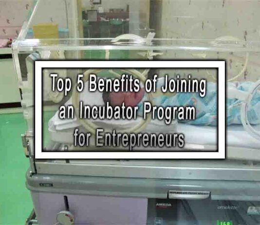 Top 5 Benefits of Joining an Incubator Program for Entrepreneurs