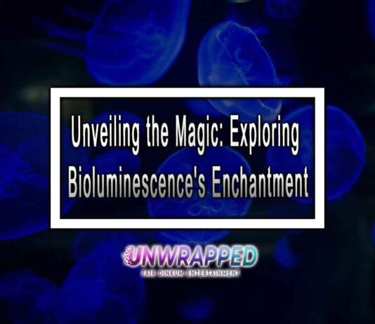 Unveiling the Magic: Exploring Bioluminescence's Enchantment