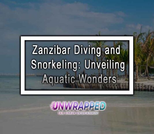 Zanzibar Diving and Snorkeling: Unveiling Aquatic Wonders