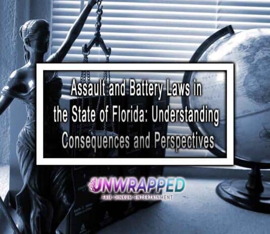 Assault and Battery Laws in the State of Florida: Understanding Consequences and Perspectives