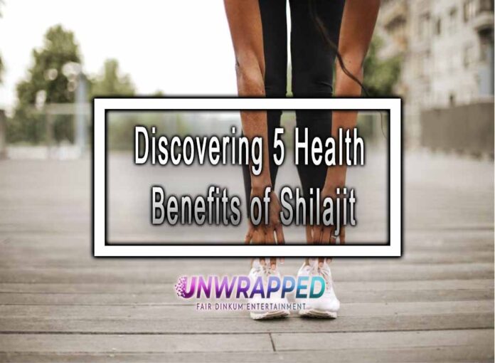 Discovering 5 Health Benefits of Shilajit