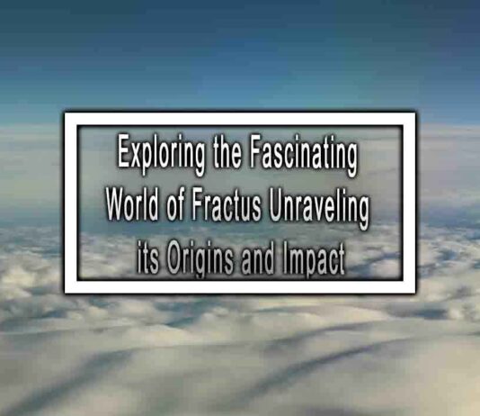 Exploring the Fascinating World of Fractus Unraveling its Origins and Impact