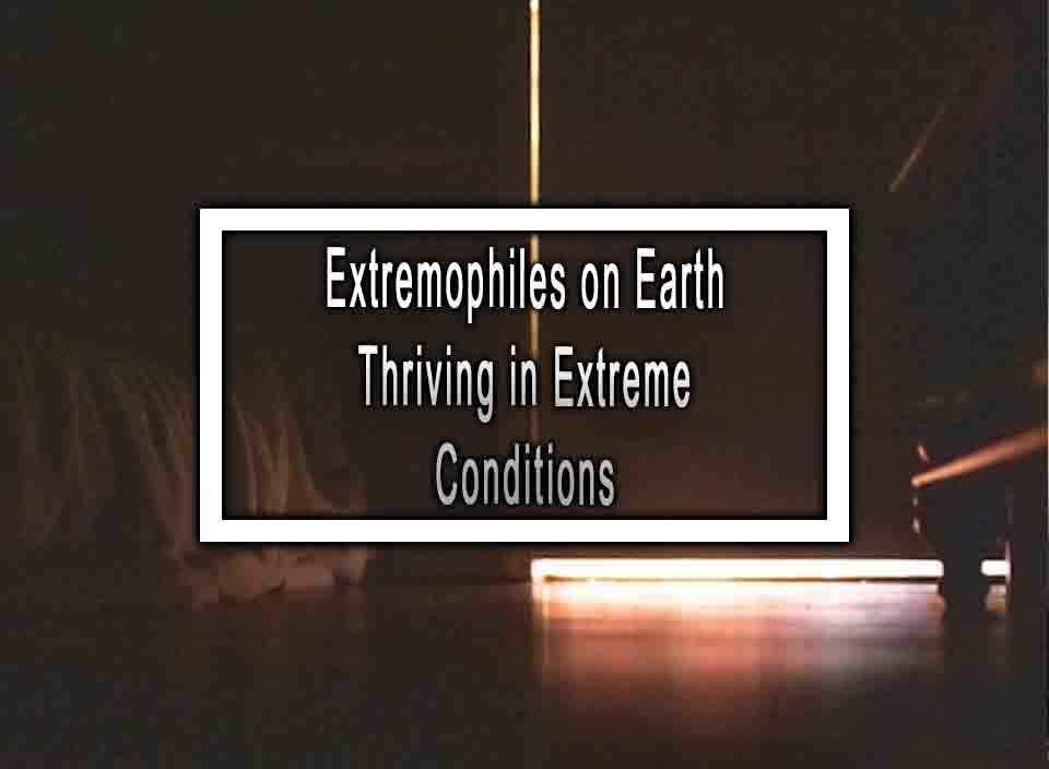 Extremophiles on Earth Thriving in Extreme Conditions