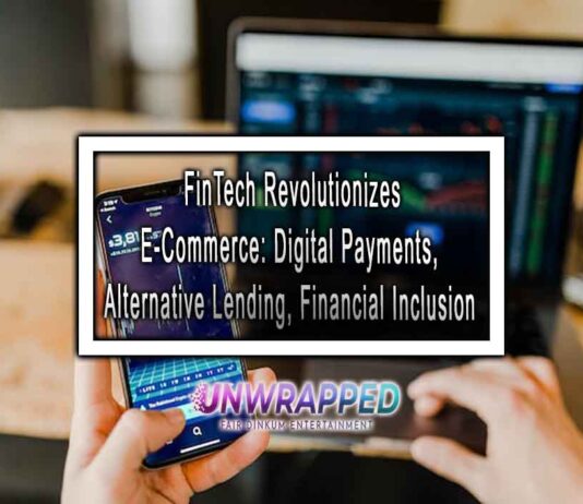 FinTech Revolutionizes E-Commerce: Digital Payments, Alternative Lending, Financial Inclusion