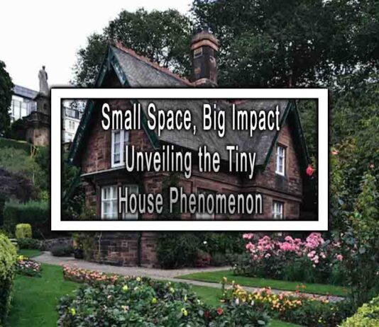 Small Space, Big Impact Unveiling the Tiny House Phenomenon