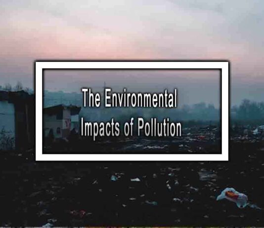 The Environmental Impacts of Pollution