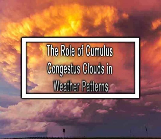 The Role of Cumulus Congestus Clouds in Weather Patterns