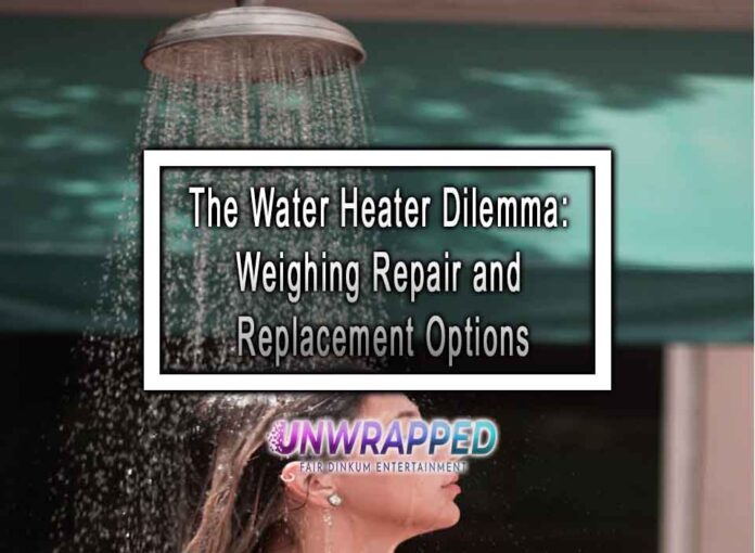 The Water Heater Dilemma Weighing Repair and Replacement Options