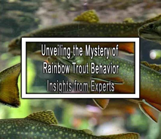 Unveiling the Mystery of Rainbow Trout Behavior Insights from Experts