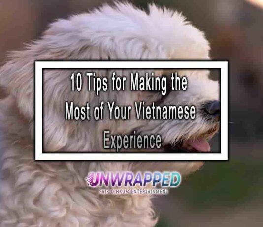 10 Tips for Making the Most of Your Vietnamese Experience