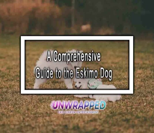 A Comprehensive Guide to the Eskimo Dog