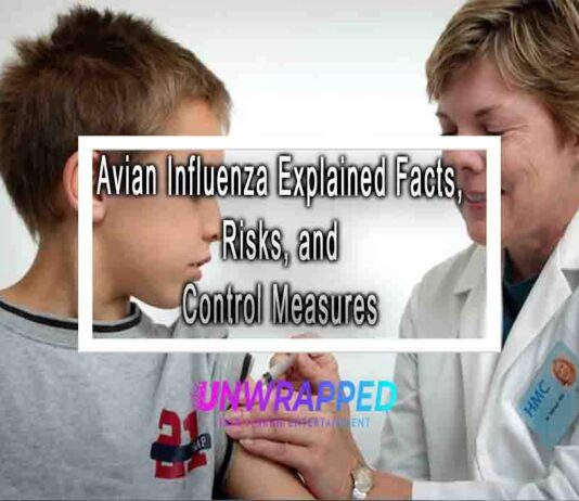 Avian Influenza Explained Facts, Risks, and Control Measures