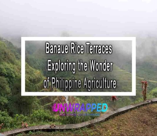 Banaue Rice Terraces Exploring the Wonder of Philippine Agriculture