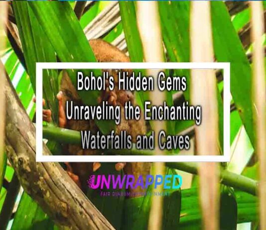 Bohol’s Hidden Gems Unraveling the Enchanting Waterfalls and Caves