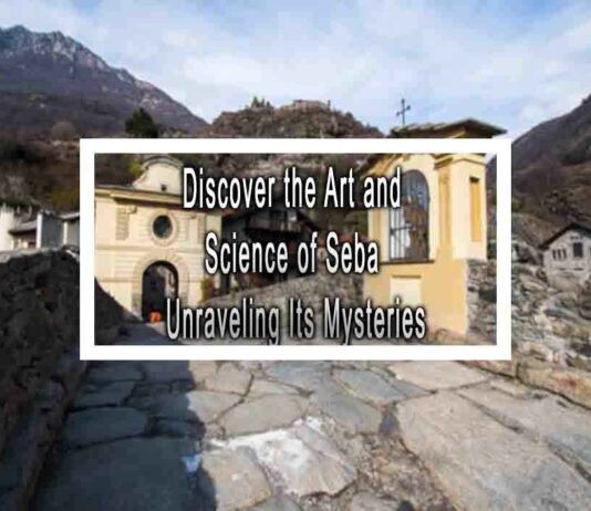 Discover the Art and Science of Seba Unraveling Its Mysteries