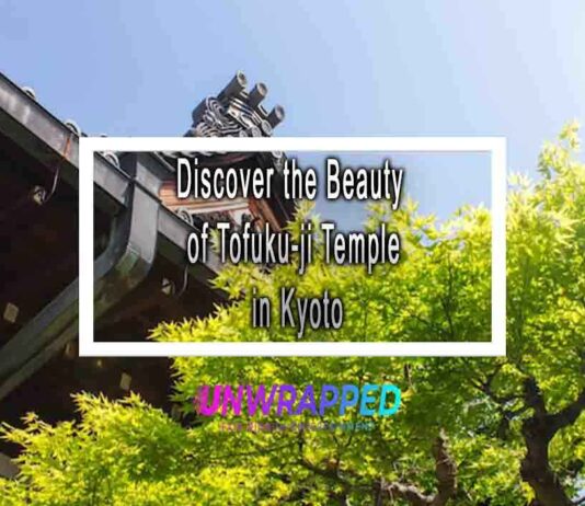 Discover the Beauty of Tofuku-ji Temple in Kyoto