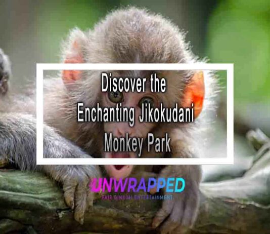 Discover the Enchanting Jikokudani Monkey Park