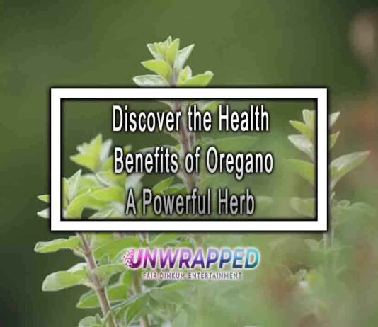 Discover the Health Benefits of Oregano A Powerful Herb
