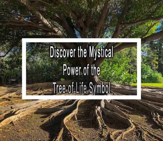 Discover the Mystical Power of the Tree of Life Symbol