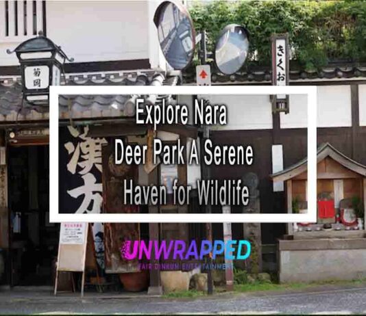 Explore Nara Deer Park A Serene Haven for Wildlife