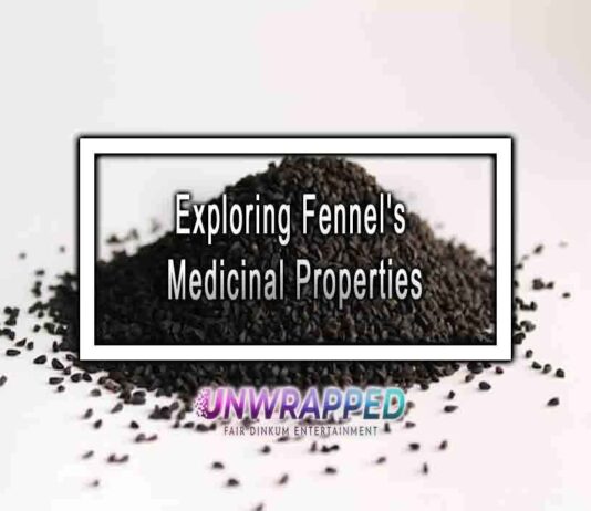 Exploring Fennel’s Medicinal Properties