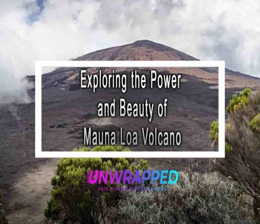 Exploring the Power and Beauty of Mauna Loa Volcano