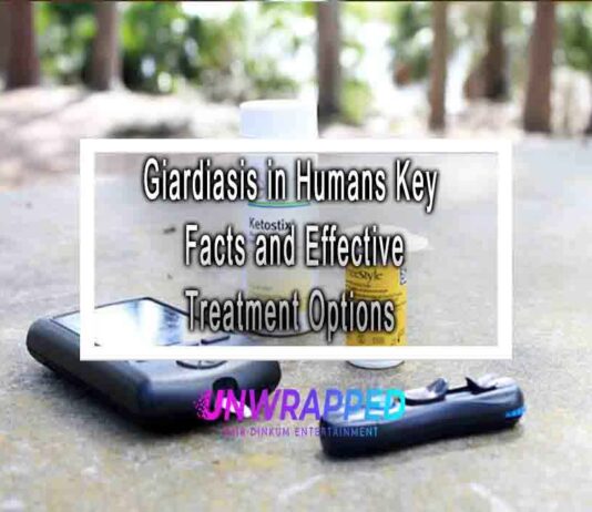 Giardiasis in Humans Key Facts and Effective Treatment Options