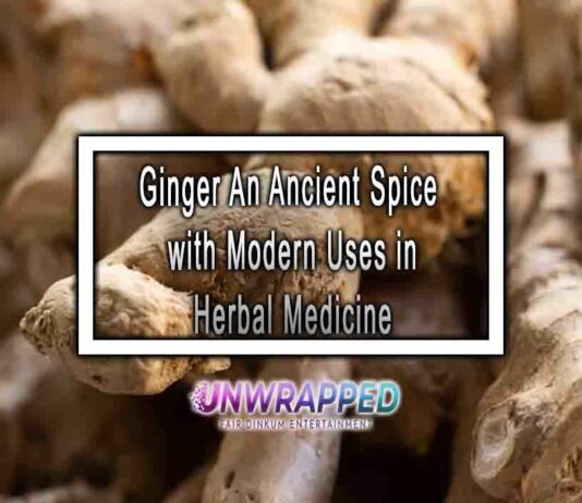 Ginger An Ancient Spice with Modern Uses in Herbal Medicine