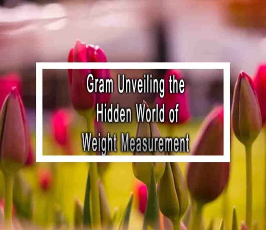 Gram Unveiling the Hidden World of Weight Measurement