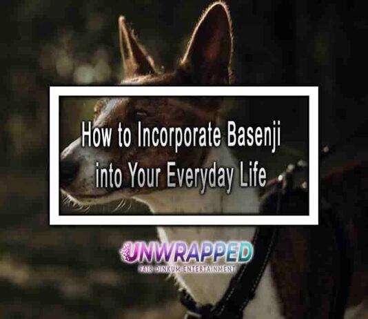 How to Incorporate Basenji into Your Everyday Life