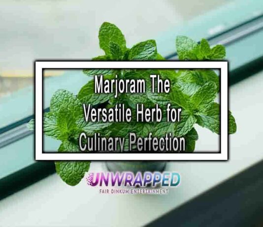 Marjoram The Versatile Herb for Culinary Perfection