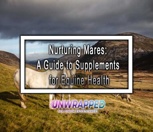 Nurturing Mares: A Guide to Supplements for Equine Health