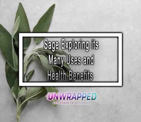 Sage Exploring its Many Uses and Health Benefits