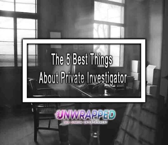 The 5 Best Things About Private Investigator