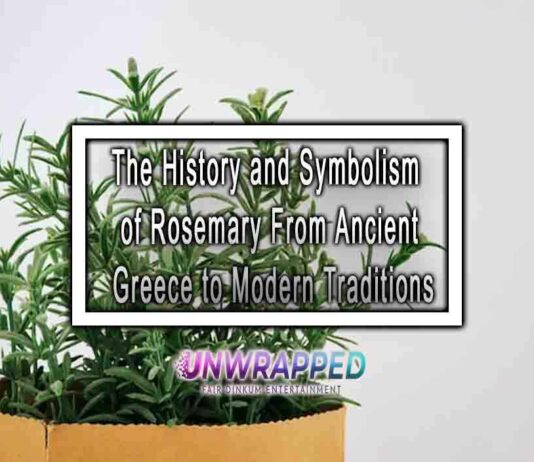 The History and Symbolism of Rosemary From Ancient Greece to Modern Traditions
