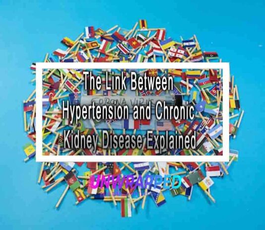 The Link Between Hypertension and Chronic Kidney Disease Explained