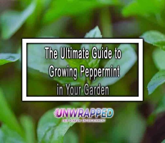 The Ultimate Guide to Growing Peppermint in Your Garden