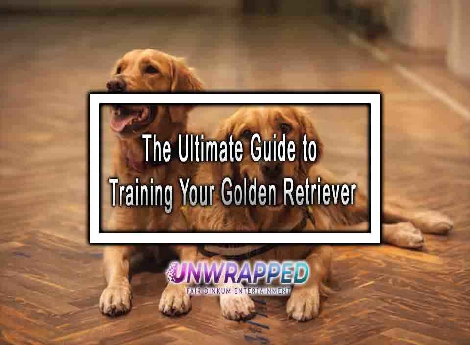 The Ultimate Guide To Training Your Golden Retriever