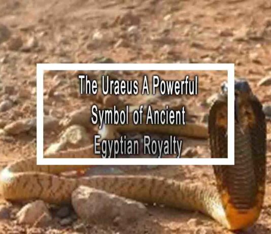 The Uraeus A Powerful Symbol of Ancient Egyptian Royalty