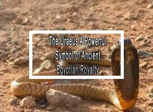 The Uraeus A Powerful Symbol of Ancient Egyptian Royalty