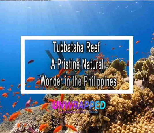 Tubbataha Reef A Pristine Natural Wonder in the Philippines